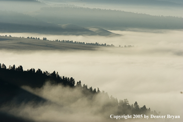 Smith River Valley in fog.