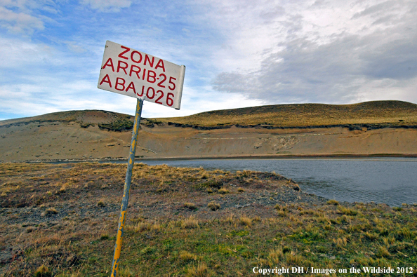Landscape in Tierra del Fuego. 