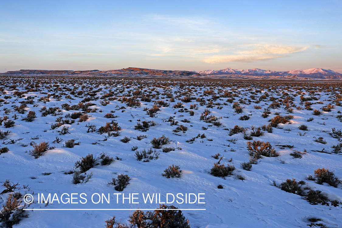 High mountain desert in Wyoming.