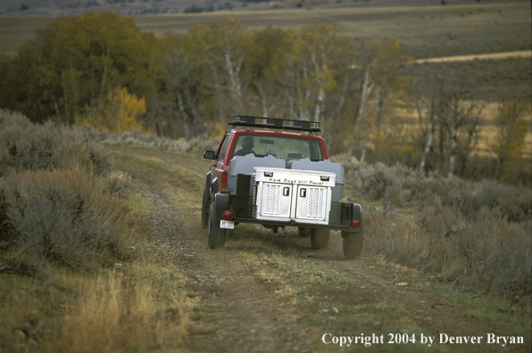 Truck with dog trailer.