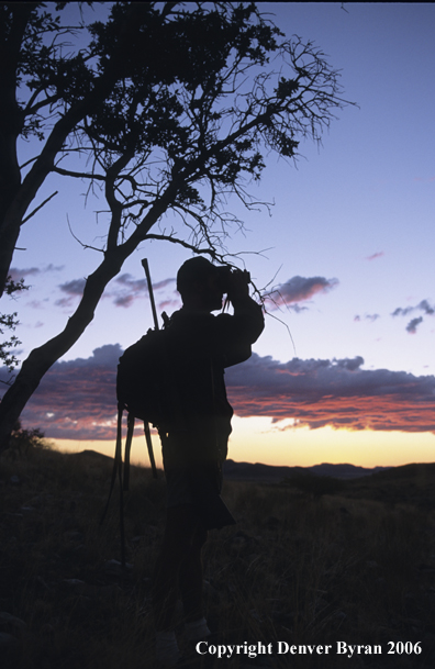 African hunter glassing at sunset.