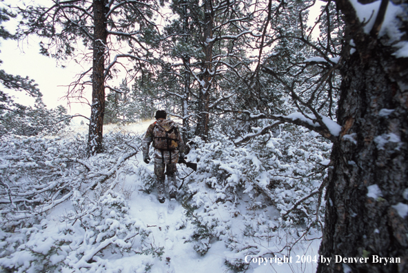 Big game hunter tracking game.