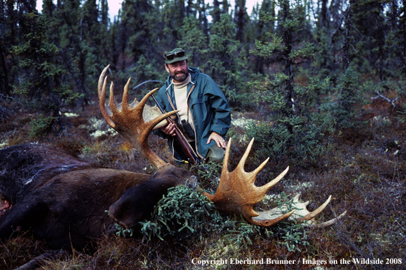 Moose Hunter with downed moose