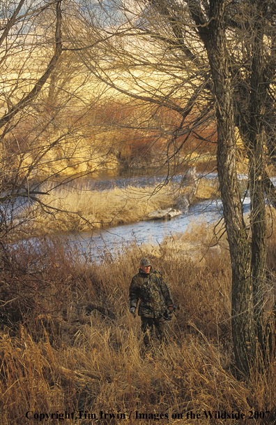 Bowhunter walking in woods.