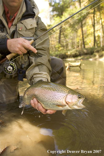 Flyfishermen with nice rainbow trout