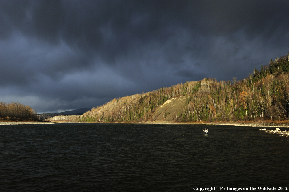 Flyfishing at Skeena River, British Columbia. 