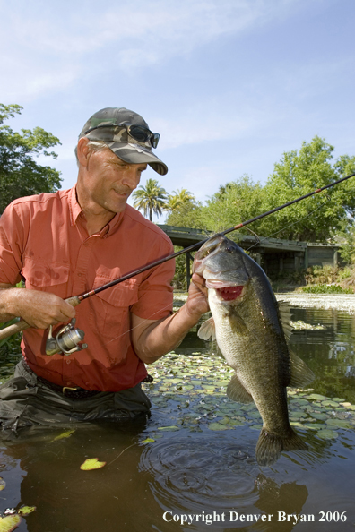 Fisherman with Largemouth Bass.  