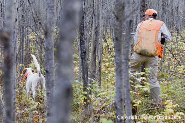 Upland bird hunter in field with dog.