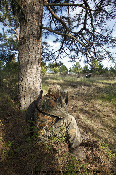 Hunter with (Merriam's) turkey in sights