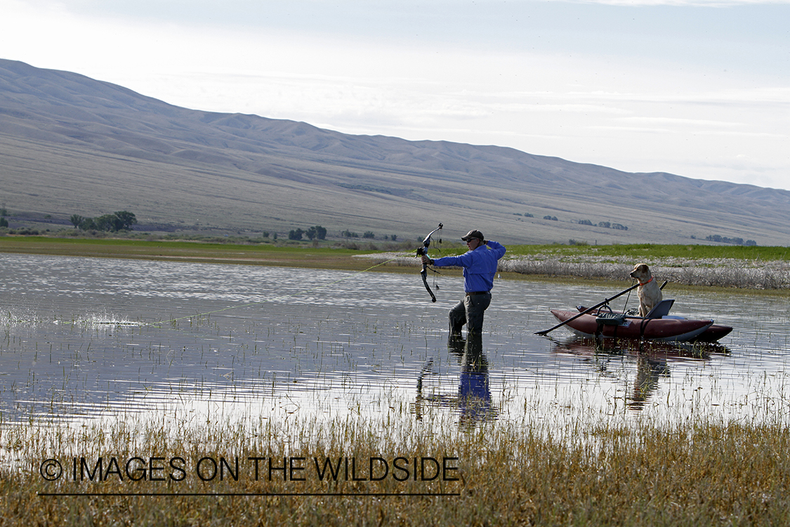 Bowfisherman shooting at fish.