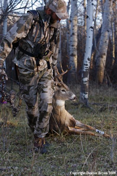 Bowhunter with bagged whitetail buck.