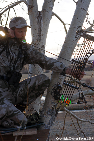 Bowhunter sitting in tree stand.
