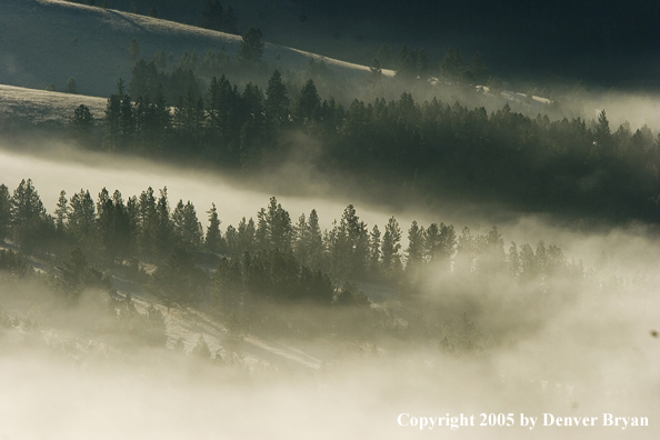 Smith River Valley in fog.