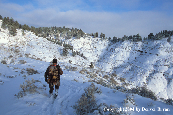 Big game hunter tracking game.