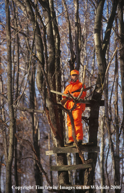 Big game hunter standing in tree stand.