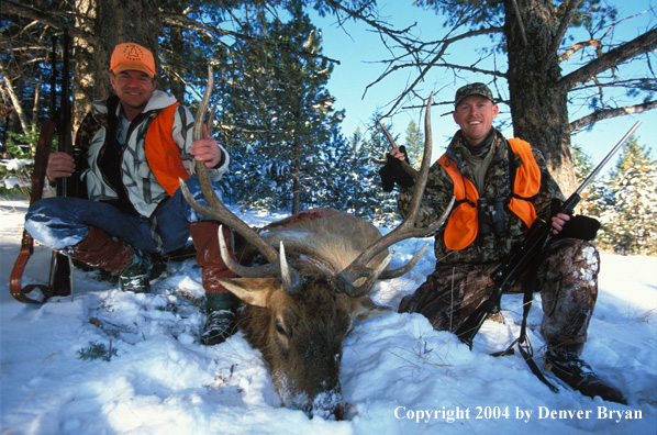 Big game hunters with bagged elk.