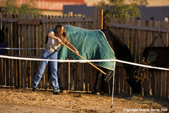 Young woman cleaning horse pen