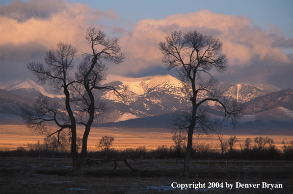 Pioneer Mountain, Dillon, Montana