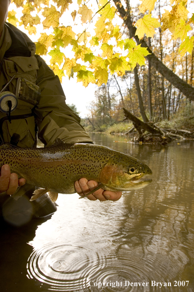 Flyfishermen with nice rainbow trout