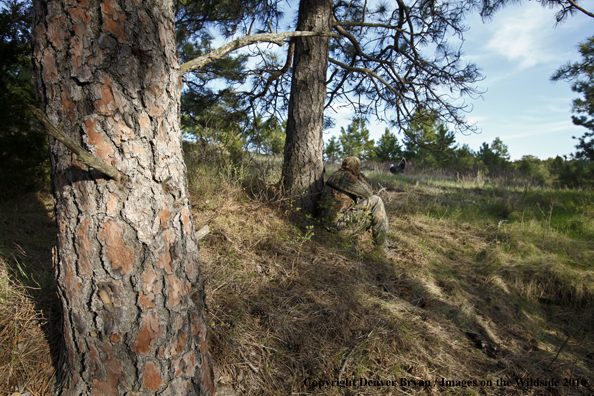 Hunter with (Merriam's) turkey in sights