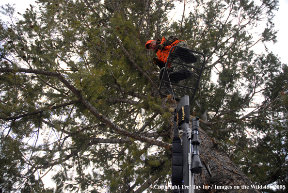 Big game hunter lowering rifle from tree stand