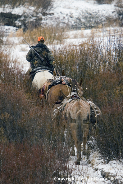Elk hunt packstring in mountains