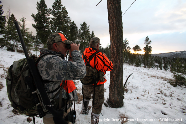 Big game hunters glassing for elk while hiking game trail.