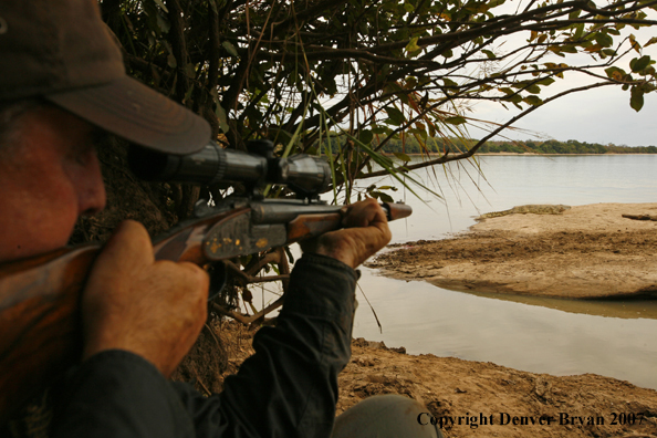 Hunter taking aim at a crocodile