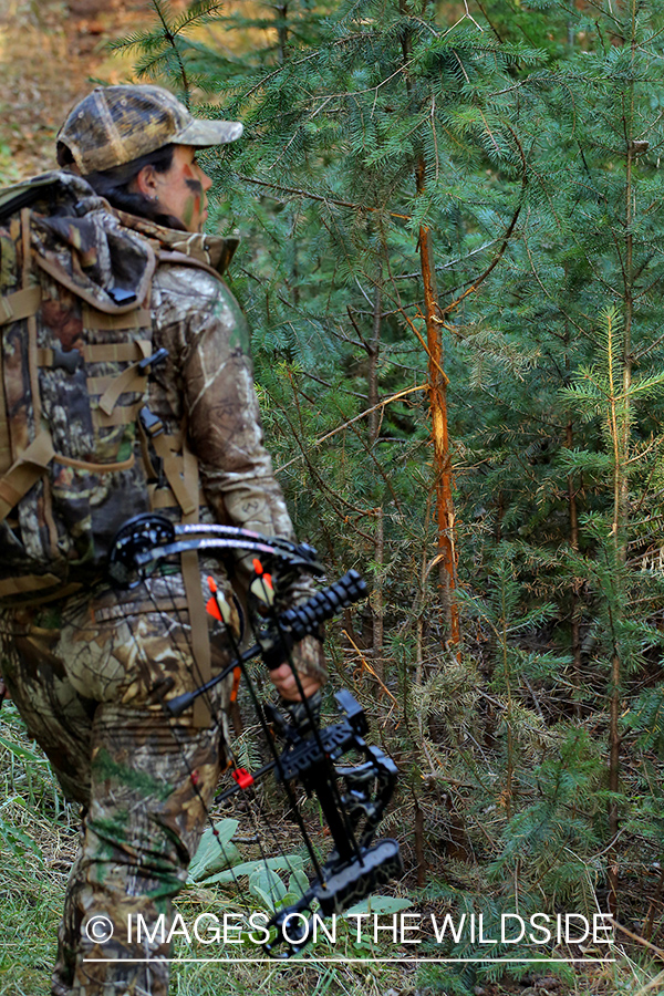 Woman bow hunting elk.