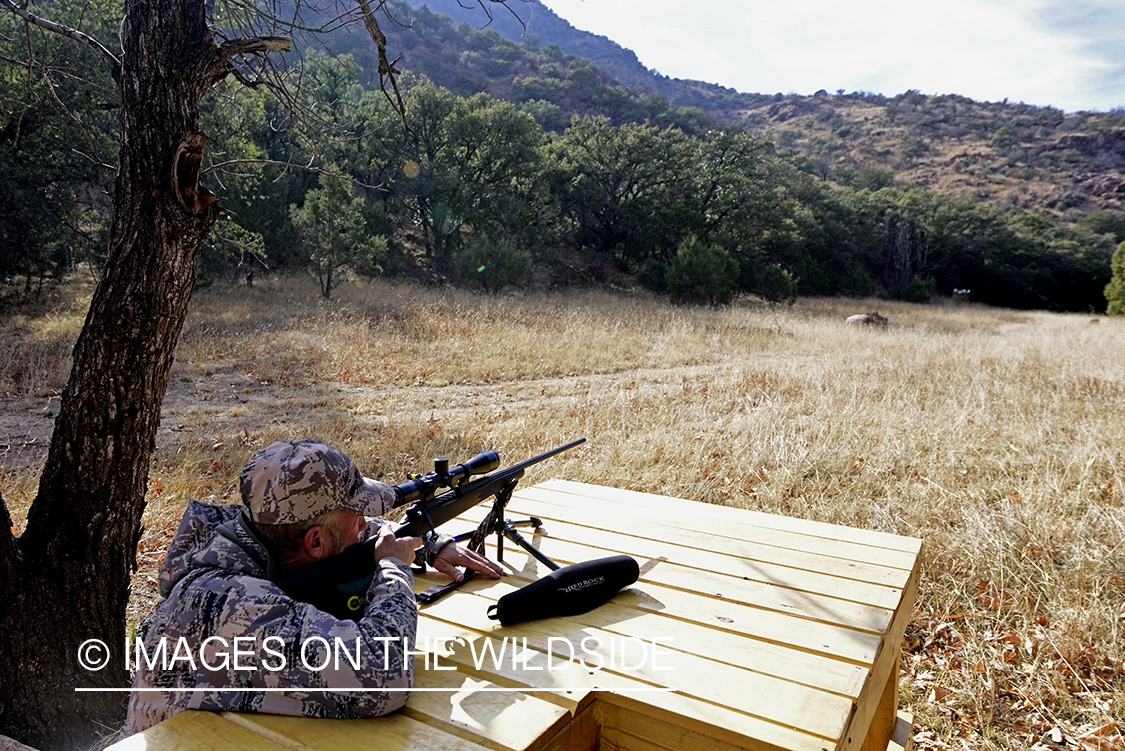 Hunter aiming at deer.