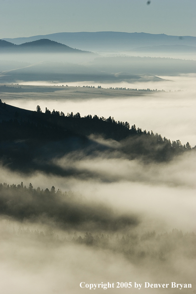 Smith River Valley in fog.