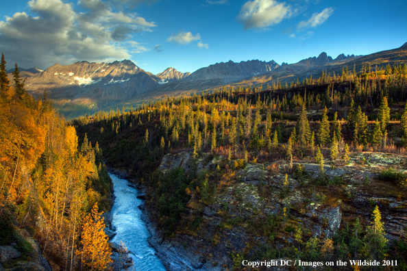 Alaskan mountains and river