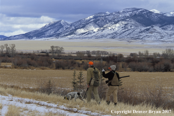 Upland bird hunters with English Setter.