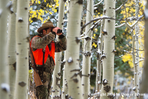 Big game hunter glassing.