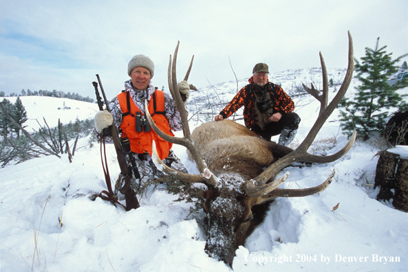 Big game hunters with bagged elk.