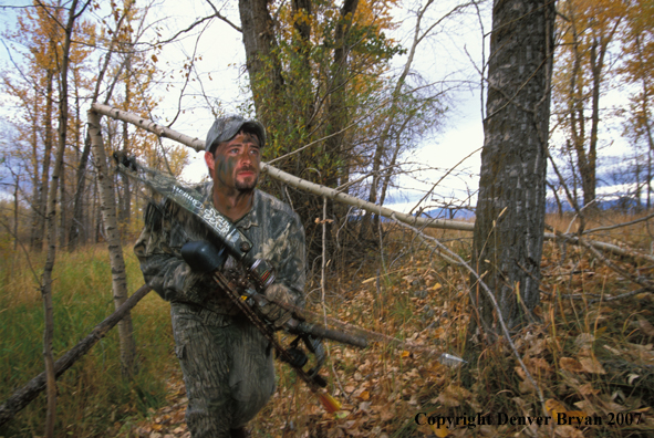 Bow hunter in forest.
