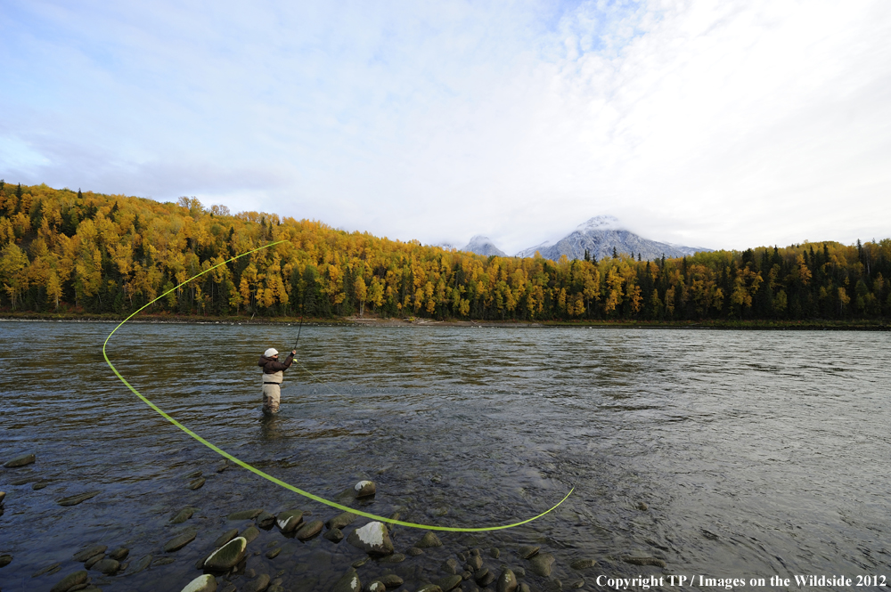 Flyfishing at Skeena River, British Columbia. 