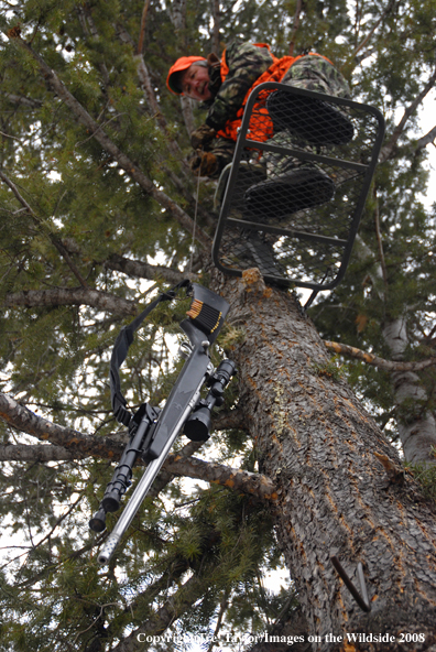 Big game hunter lowering rifle from tree stand