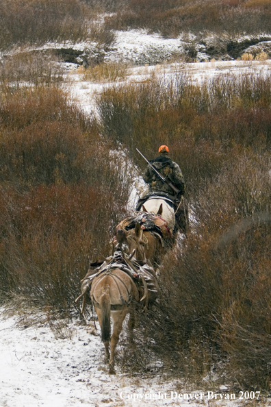 Elk hunt packstring in mountains