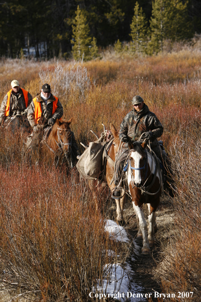 ELk hunters with pack string