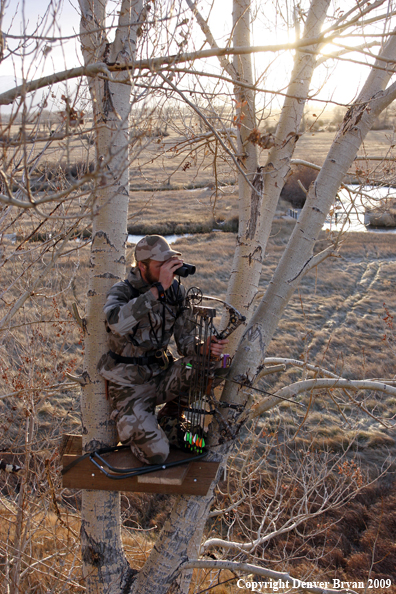 Bowhunter glassing area from tree stand.