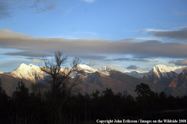 The Mission Mountains