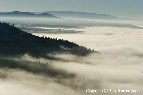 Smith River Valley in fog.