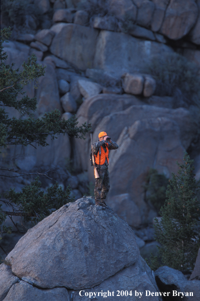 Big game hunter glassing.