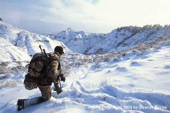 Big game hunter tracking game.