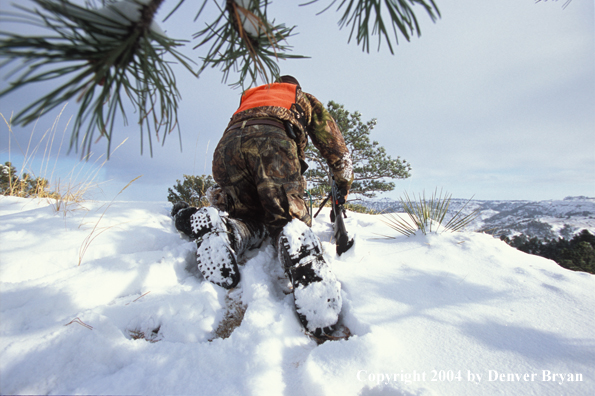 Big game hunter setting up a shot.