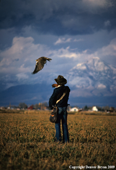 Falconer with Hunting Falcon