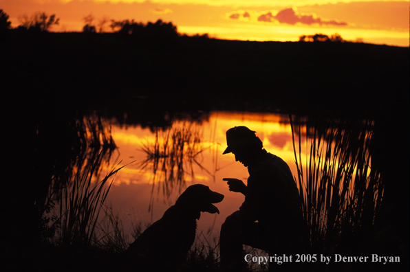 Labrador Retriever with trainer