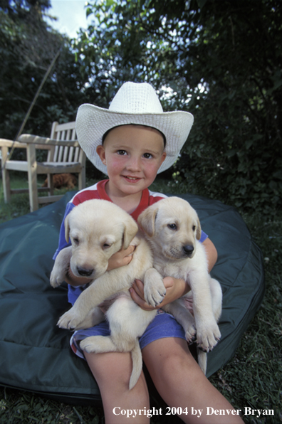 Child with yellow Labrador Retriever puppies