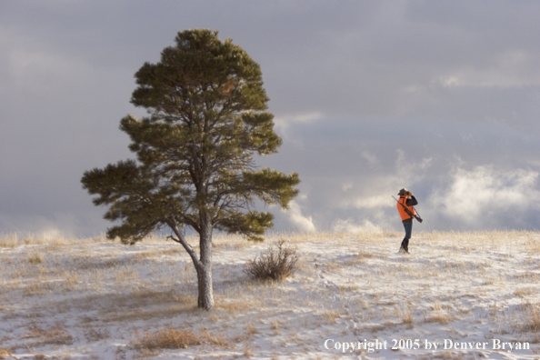 Big game hunter glassing for game.